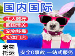 青岛胶东机场空运国际宠物托运 【国